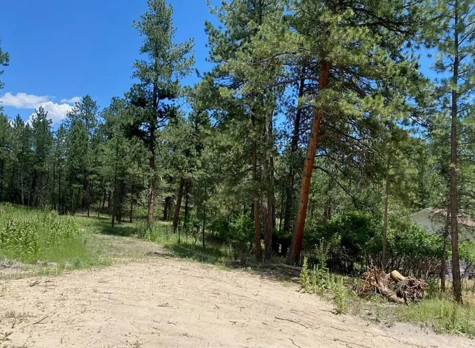 1025 Tenderfoot Dr